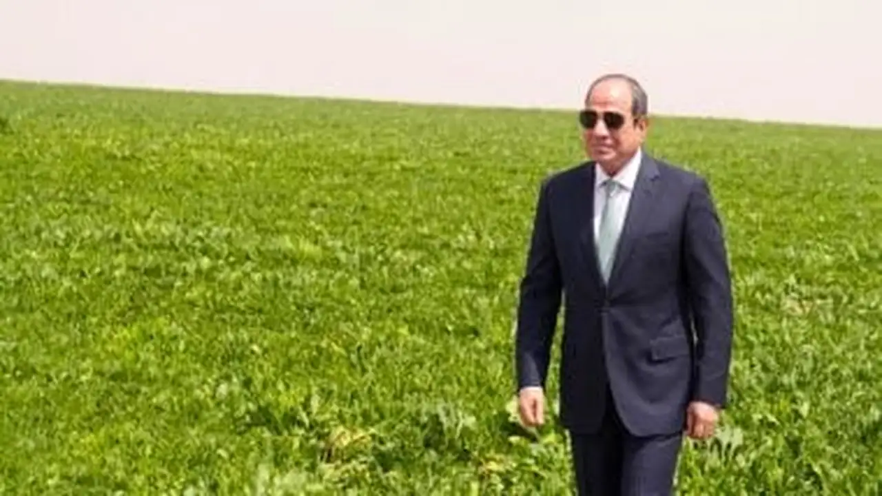 مشروع الدلتا الجديدة: رمز للكرامة الوطنية وفرصة تنموية لمصر